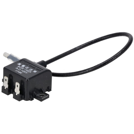 Rheem Ignitor Assembly (RTG - 42) RTG20000BF - RTG20000BF