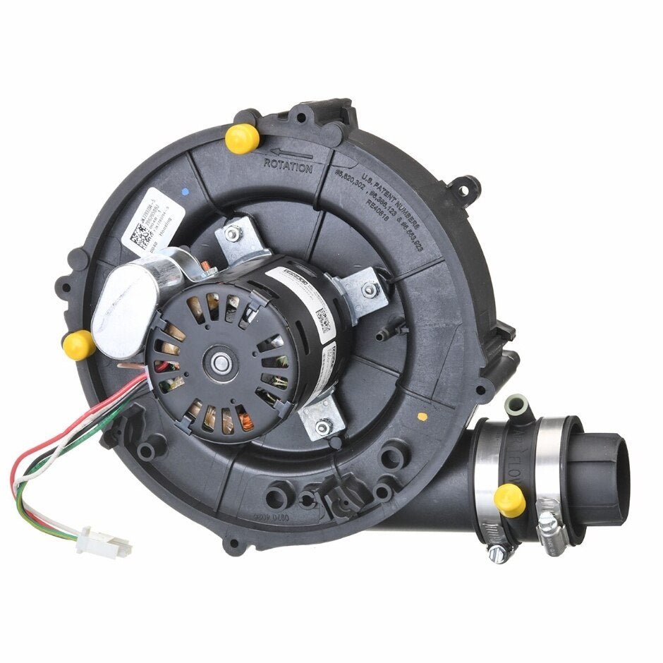 Rheem Induced Draft Blower w/Gasket 70 - 104157 - 83 - 70-104157-83