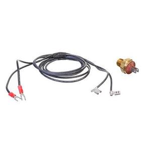 Rheem Kit - Thermostat Auto 600893B - 600893B