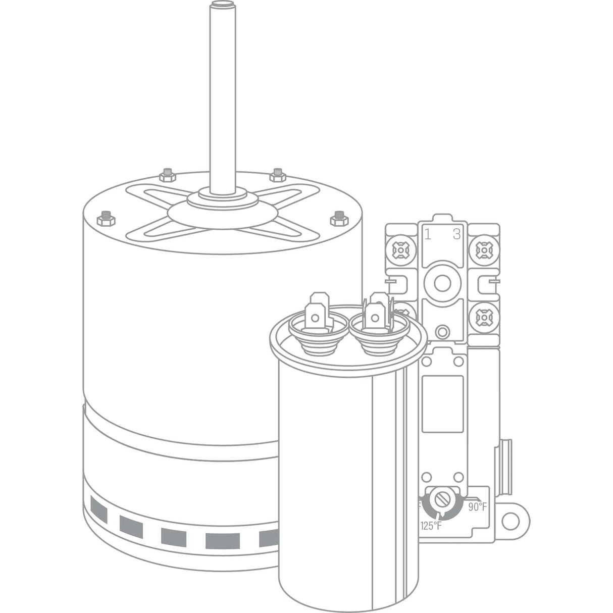Rheem_Low_Water_Cutoff_WTR2528