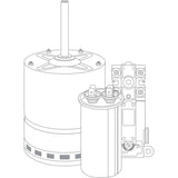 Rheem_Low_Water_Cutoff_WTR2528