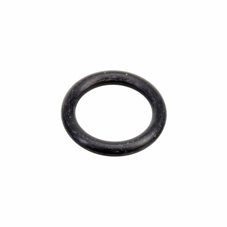 Rheem O - Ring (For 84 - 25054 - 01/02/04/05) 86 - 25055 - 101 - 86-25055-101