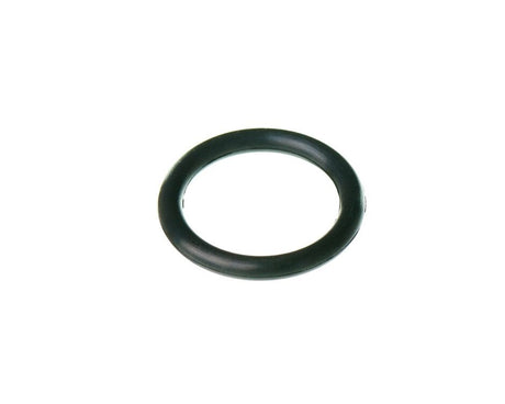 Rheem O - Ring P - 10 RTG20006AP - RTG20006AP