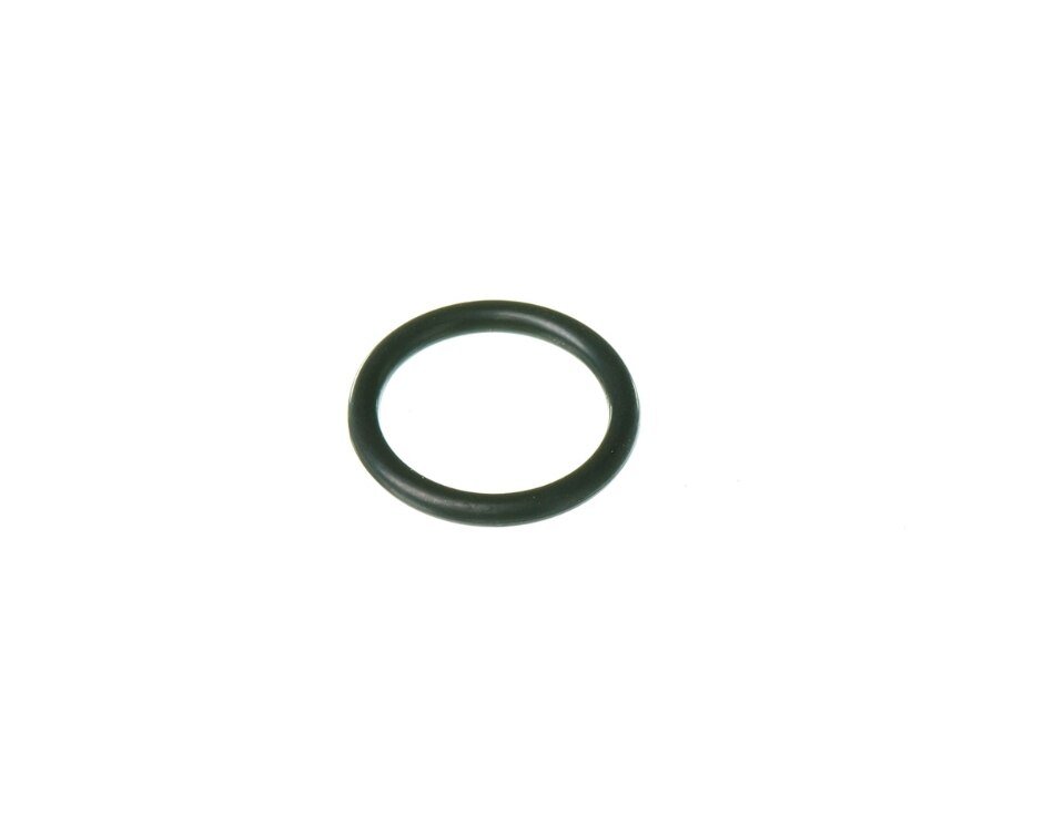 Rheem O - Ring (p16) RTG20299AN - RTG20299AN