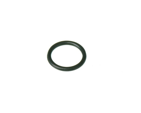 Rheem O - Ring (p16) RTG20299AN - RTG20299AN