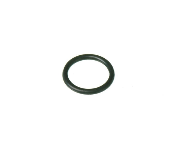 Rheem O - Ring (p16) RTG20299AN - RTG20299AN