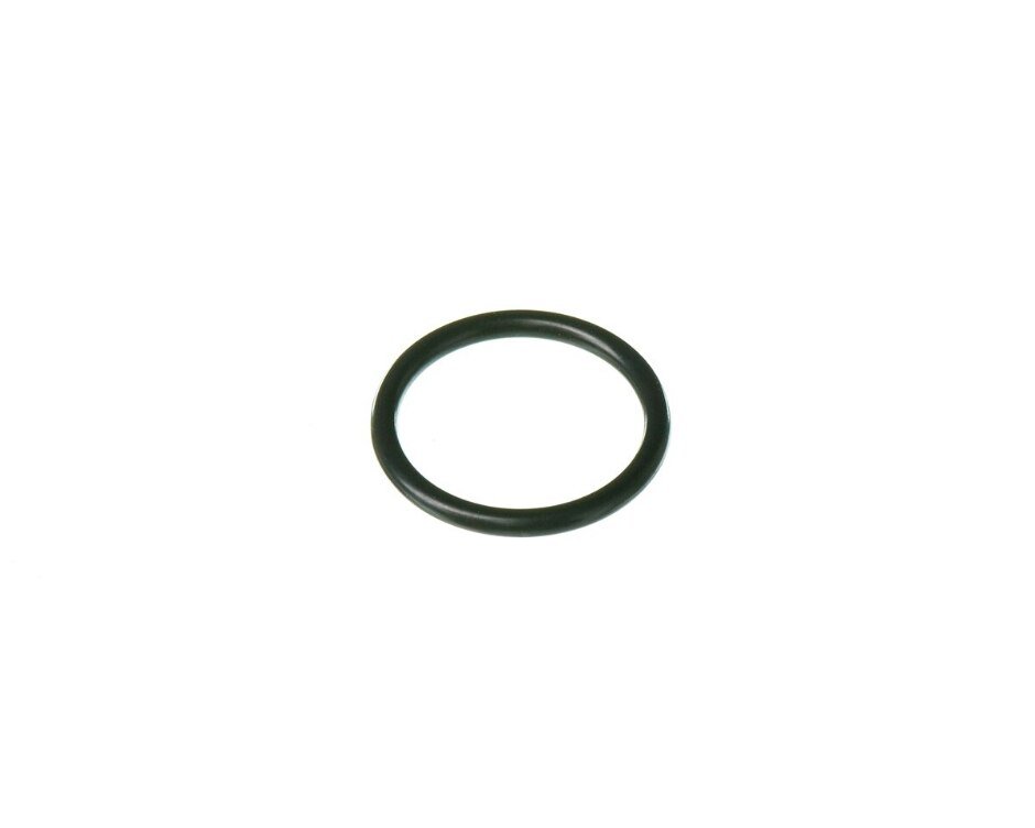 Rheem O - Ring (p20) RTG20299AG - RTG20299AG