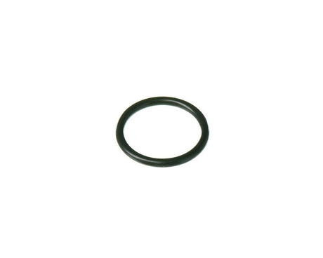 Rheem O - Ring (p20) RTG20299AG - RTG20299AG