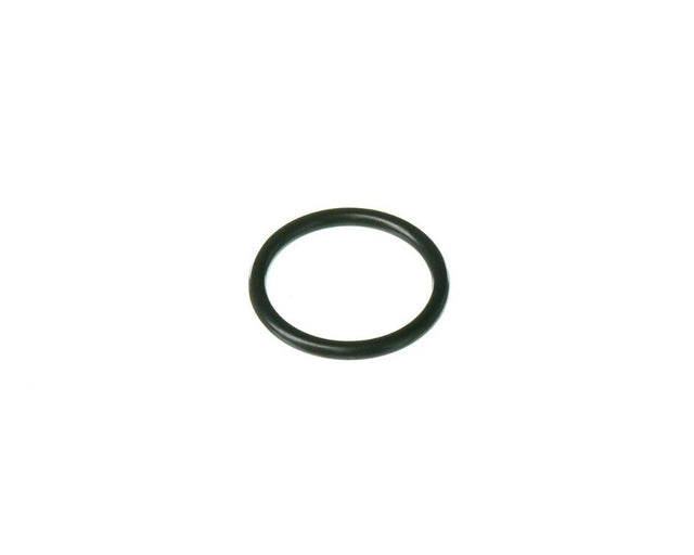 Rheem O - Ring (p20) RTG20299AG - RTG20299AG