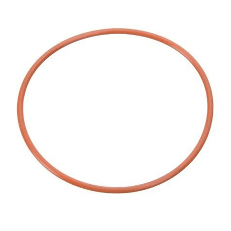 Rheem O - Ring RTG20239BC - RTG20239BC
