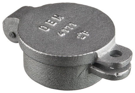 Rheem Oil Tank Hinged Fill Cap - 2 in. FNPT DIB464170 - DIB464170