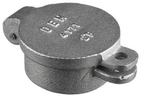 Rheem Oil Tank Hinged Fill Cap - 2 in. FNPT RWB14171 - RWB14171