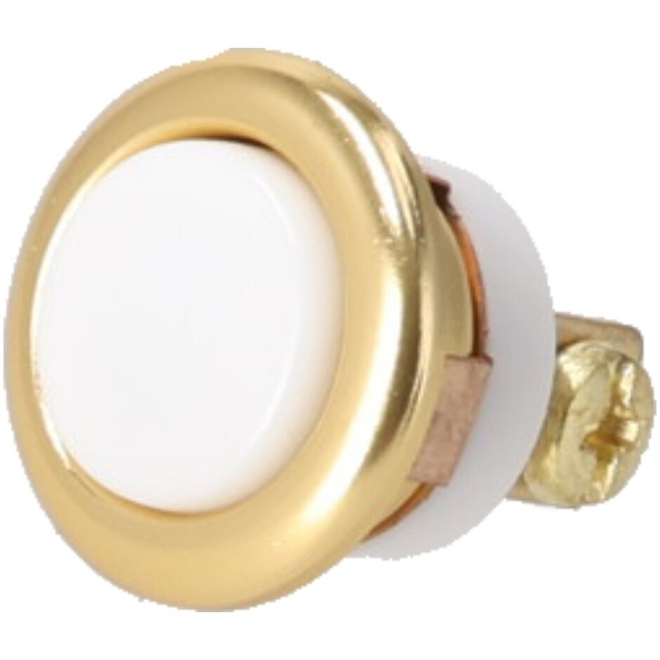 Rheem Push Button SP20863 - SP20863