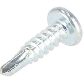 Rheem Screw - 10 x 3/4 AP12131C - AP12131C
