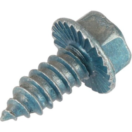 Rheem Screw - 1/4 x 5/8 Hex AP8919 - 1 - AP8919-1