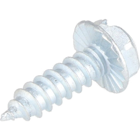 Rheem Screw - 8 - 18 in. x 0.38 in. Combo - Phillips/Square - Pan Head Cup Point 63 - 105211 - 01 - 63-105211-01