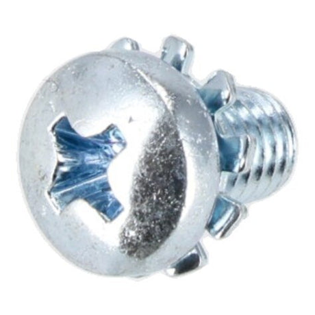 Rheem Screw - Machine MetricÊ 6 x 1.0 x 16mm AP14883D - AP14883D