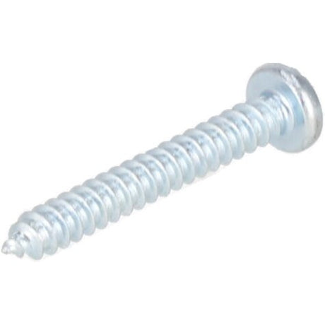 Rheem Screw - SM - 8 Torq Pan Head AP12862A - AP12862A
