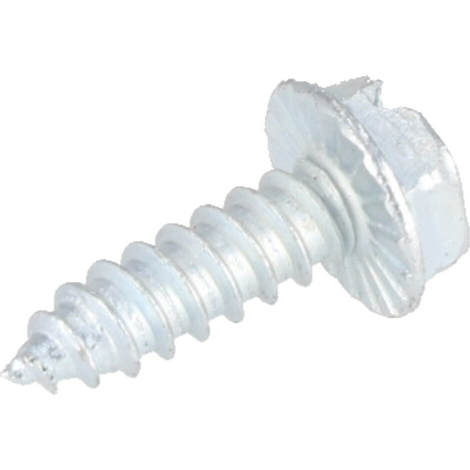 Rheem Stainless Steel Sheet Metal Screw, 10 - 16 x 5/8 in. 63 - 22429 - 05 - 63-22429-05