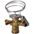 Rheem Thermostatic Expansion Valve (TXV) - RFGF Series 61 - 110299 - 08 - 61-110299-08