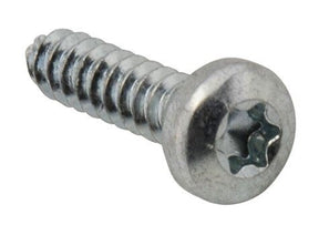 Rheem Torx Head Screw - 8 x 3/4 in. long AP12862 - AP12862