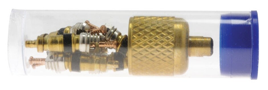 Rheem Valve Cores (Pack of 6 w/One Brass Cap) 83 - AVS1V - 83-AVS1V