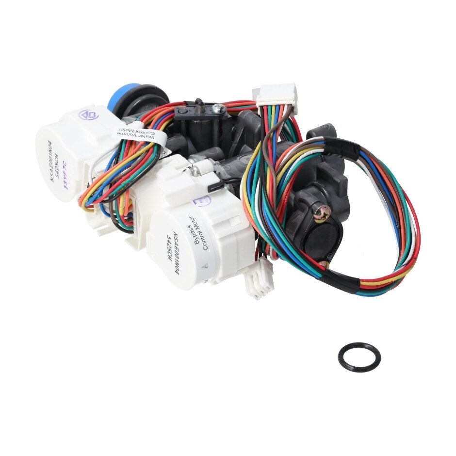 Rheem Water Control Valve Kit with O - Ring RTG20329AV - RTG20329AV