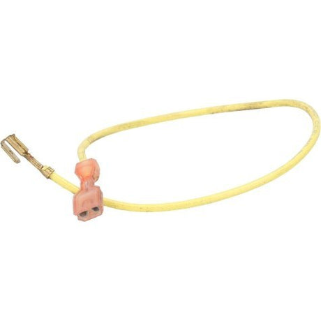 Rheem Wire Assembly AS - 76693 - 19 - DJ - AS-76693-19-DJ