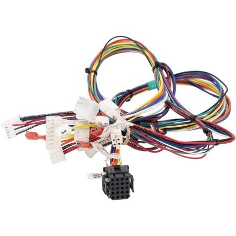 Rheem Wire Harness - 75 Gal 100K Commercial AP21480 - AP21480