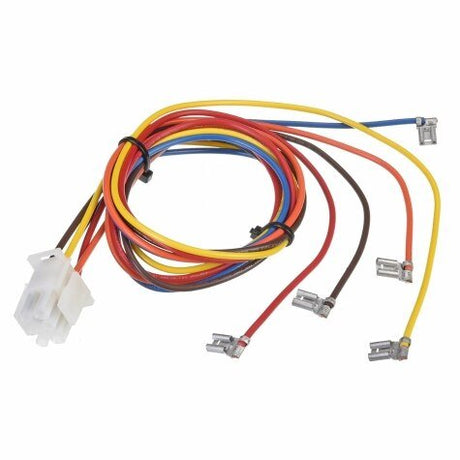 Rheem Wiring Harness - 5 Wires PD455226 - PD455226