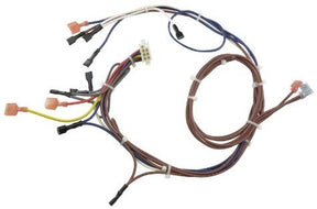 Rheem Wiring Harness AP11325D - AP11325D