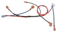 Rheem Wiring Harness - Power Vent AP13746 - AP13746