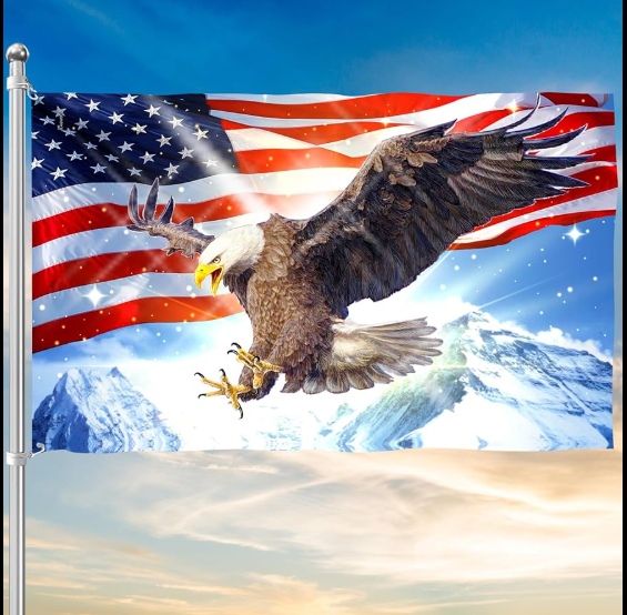 USA Eagle Flag